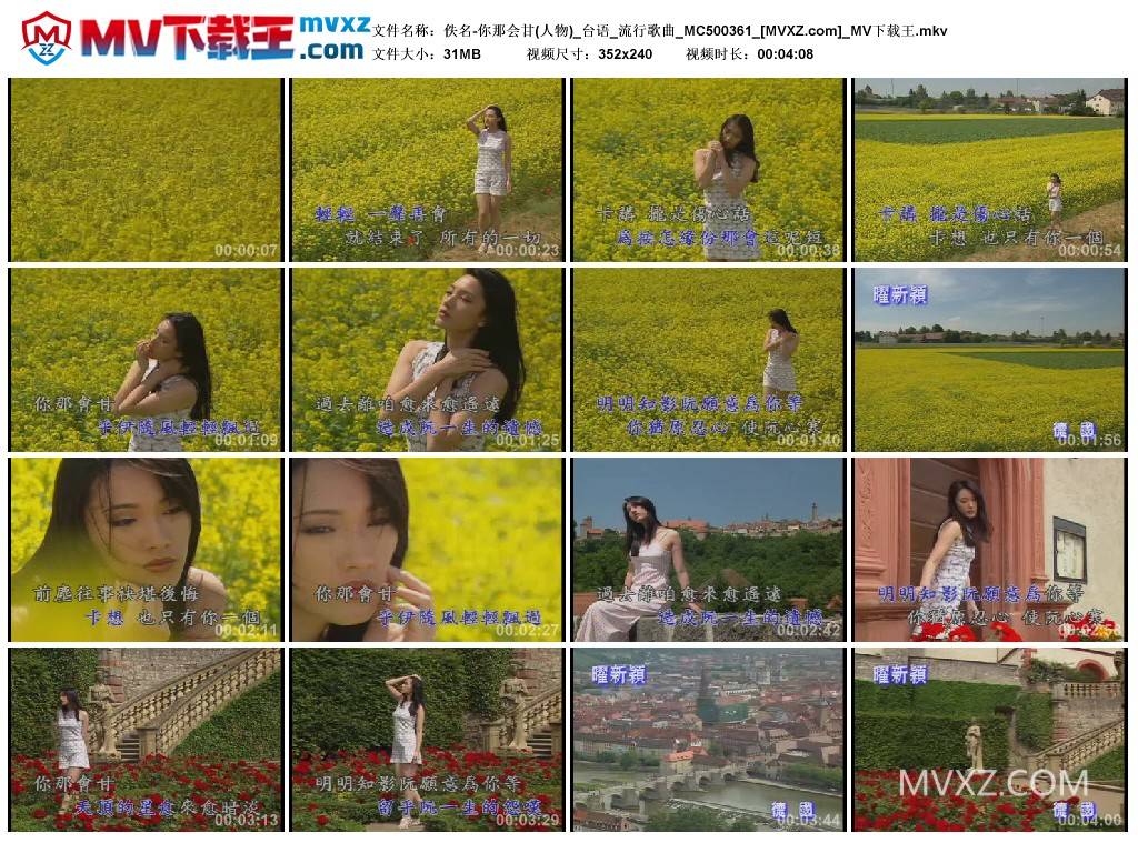 佚名-你那会甘(人物)_台语_流行歌曲_MC500361